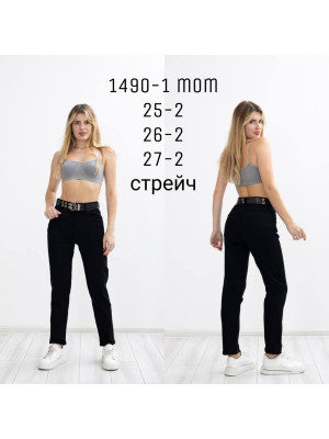 1490-1 ДЖИНС LIUZIN MOM STRAIGHT (РОЗМІРИ: 25.25.26.26.27.27) 6 Од
